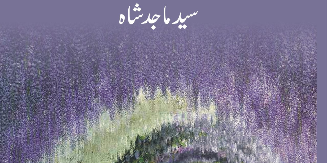 Dur-e-Shahi